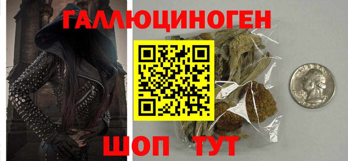 Ахтубинск  Псилоцибиновые грибы Cubensis  Вход с VPN 
